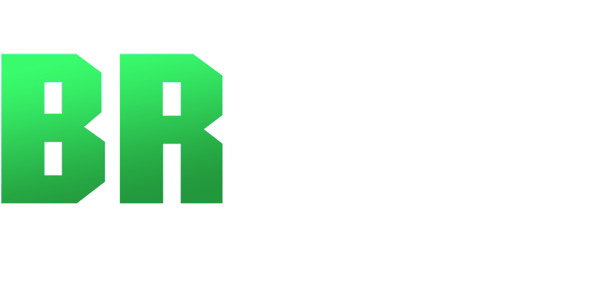 br1993